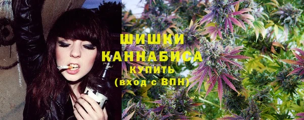 шишки Баксан
