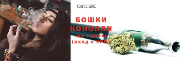 ECSTASY Балахна