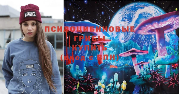 мдпв Армянск